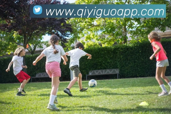 App Interface Preview