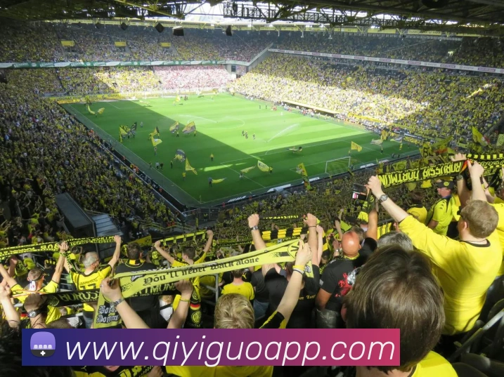 奇异果APP 封面图